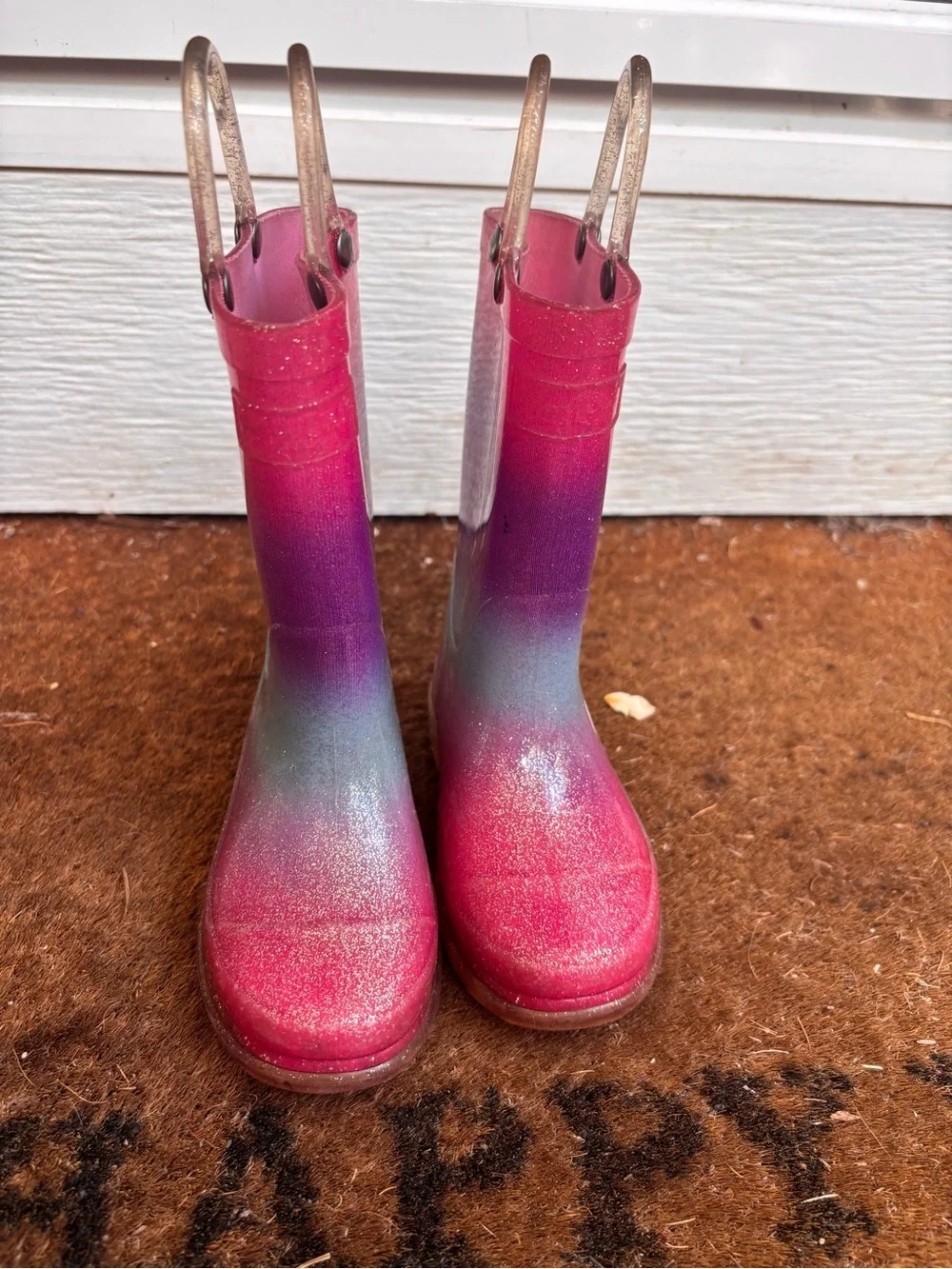 Western Chief Ombré Rainboots